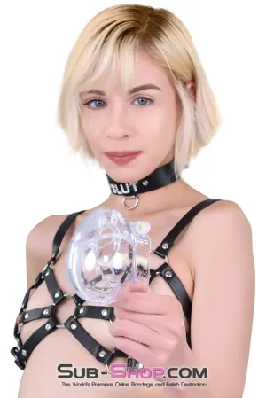 0766M      The Titan Large Cock and Balls Chastity Cage