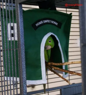 Avian Haven Hut for Pet Birds