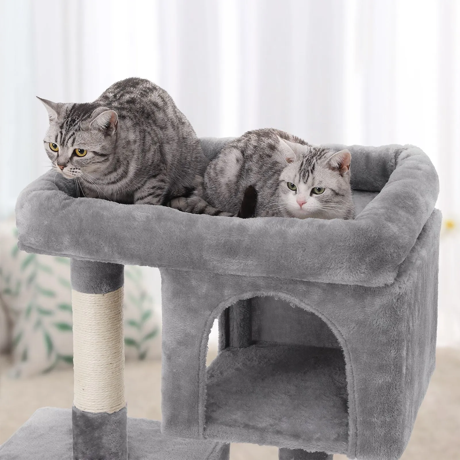 Cat Tree for Large Cats