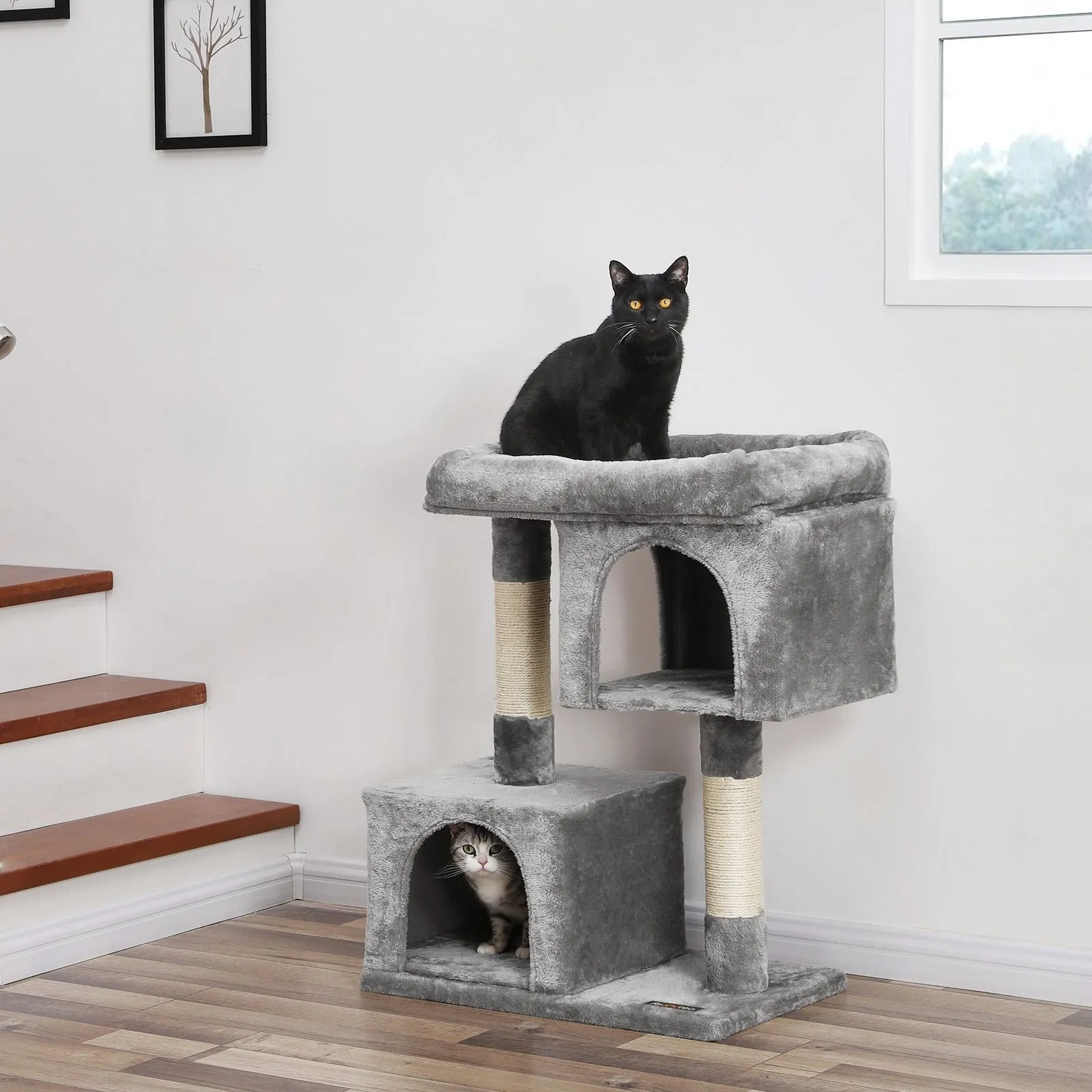 Cat Tree for Large Cats