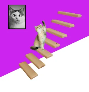Cat Wall Ladder, Catio style in solid wood with no staining