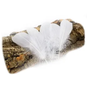 Goose Feathers