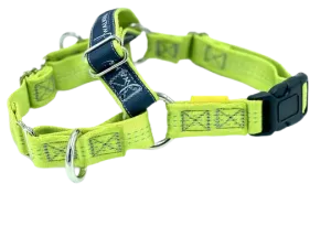 JWalker Training Harness - Lime