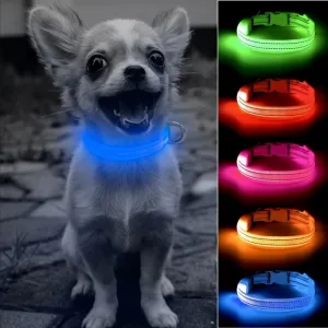 LED Dog Collar