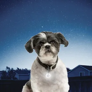 Nite Ize PetLit LED Lights