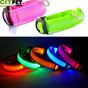 Nylon Pet Dog Collar LED Light Night 2017