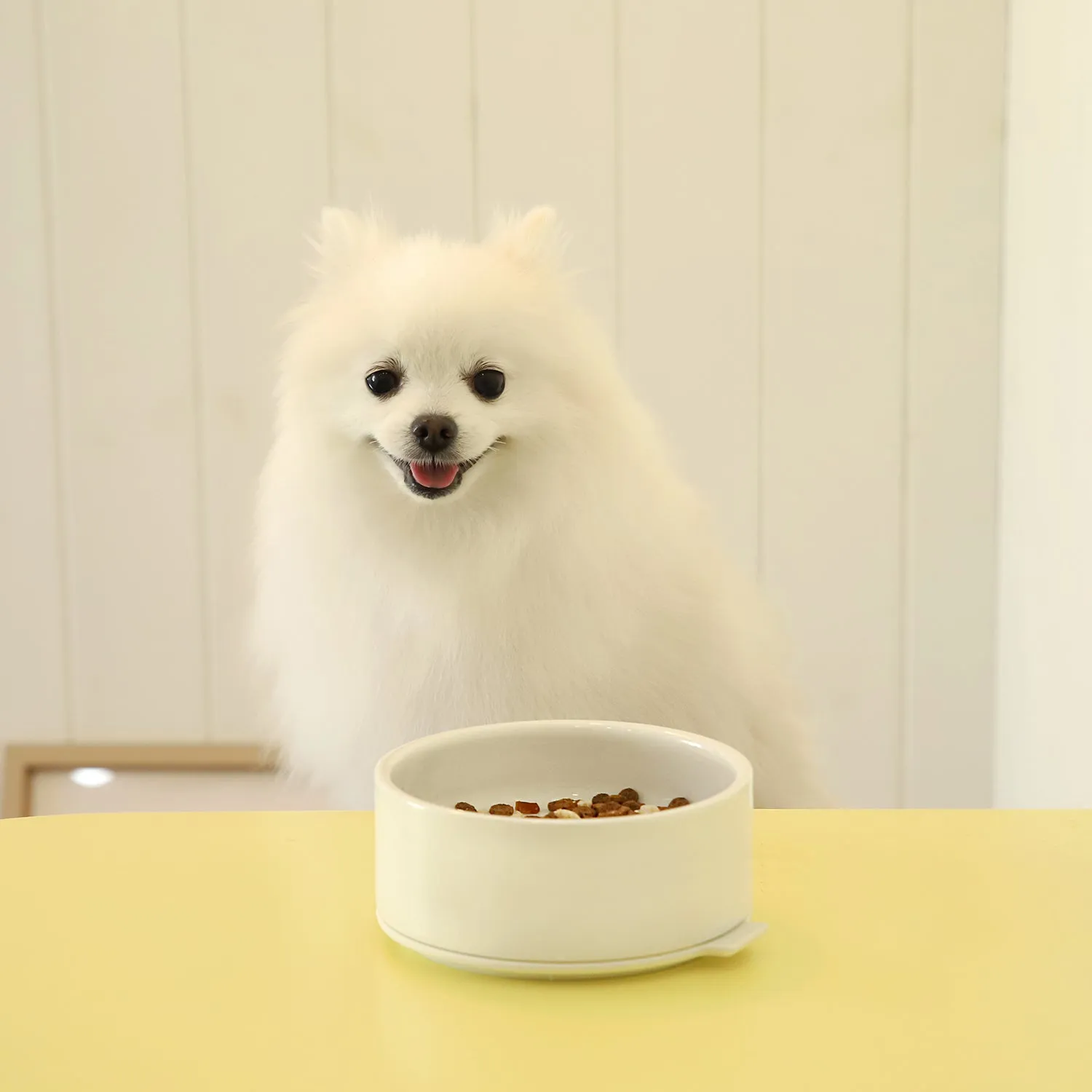 Pudding Pet Bowl