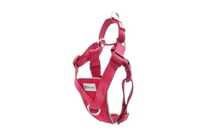 RC Pets Tempo No Pull Harness