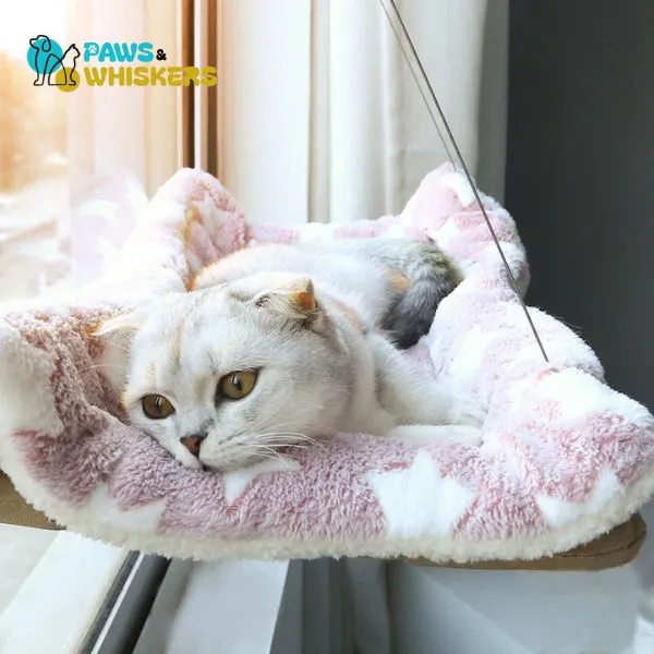 Sunny Seat Window-Mounted Cat Hammock| Paws & Whiskers